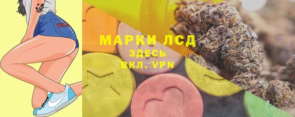 сатива Новодвинск