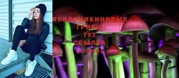 сатива Новодвинск