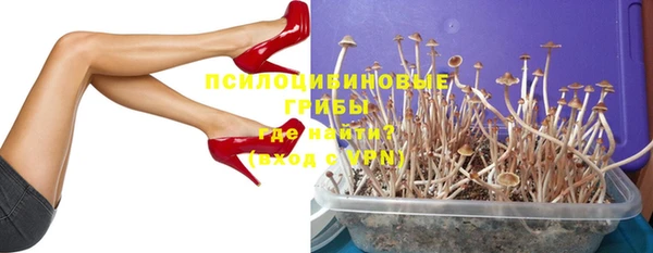 сатива Новодвинск