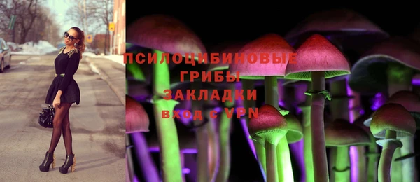 сатива Новодвинск