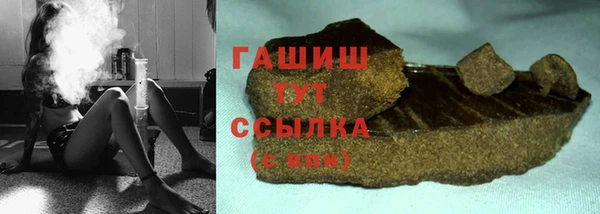 сатива Новодвинск