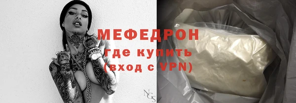 сатива Новодвинск