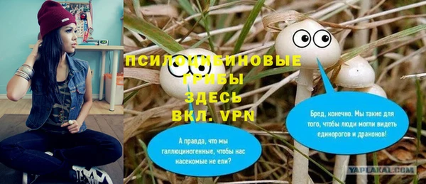 ГАЛЛЮЦИНОГЕННЫЕ ГРИБЫ Новокубанск