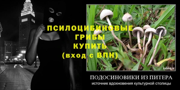 ГАЛЛЮЦИНОГЕННЫЕ ГРИБЫ Новокубанск