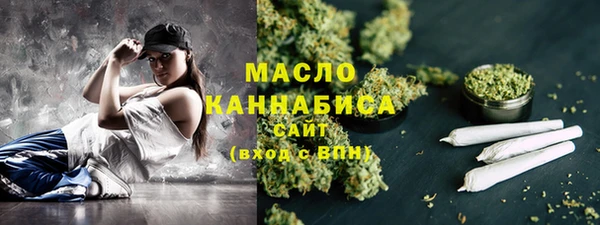 сатива Новодвинск