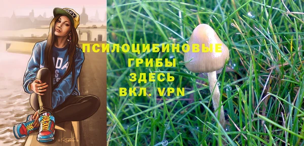 сатива Новодвинск