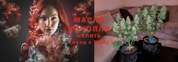 сатива Новодвинск