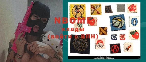 сатива Новодвинск
