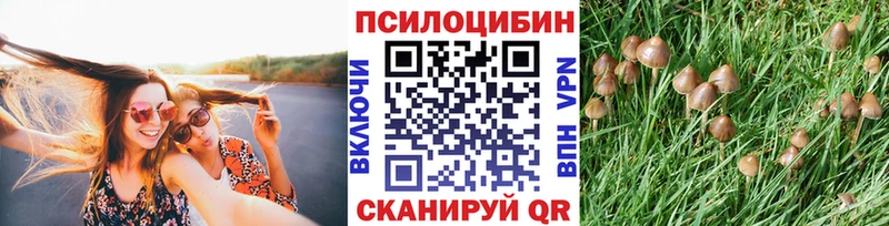 kraken рабочий сайт  хочу наркоту  Тула  Галлюциногенные грибы MAGIC MUSHROOMS 