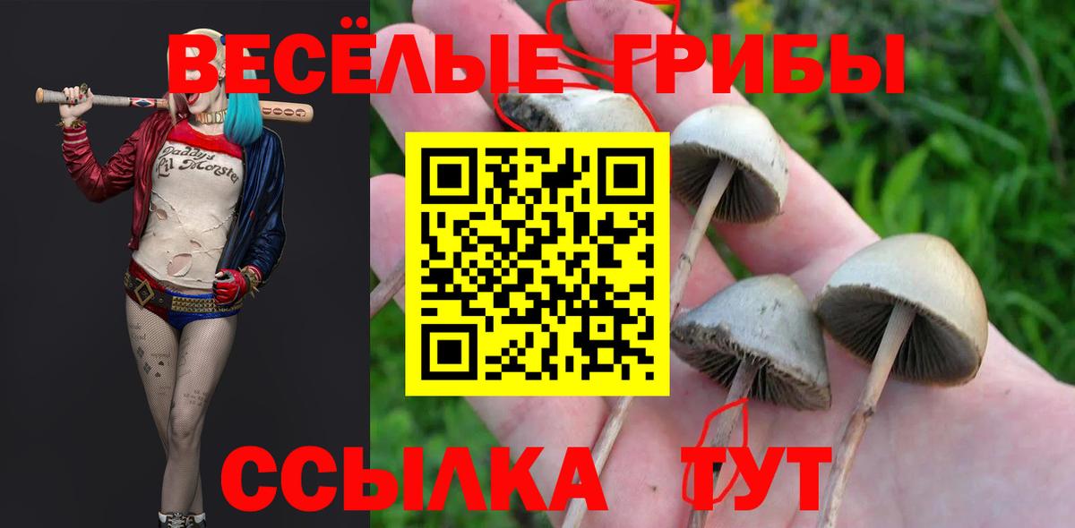 Псилоцибиновые грибы Psilocybine cubensis  Вход с VPN  наркотики  Тула 